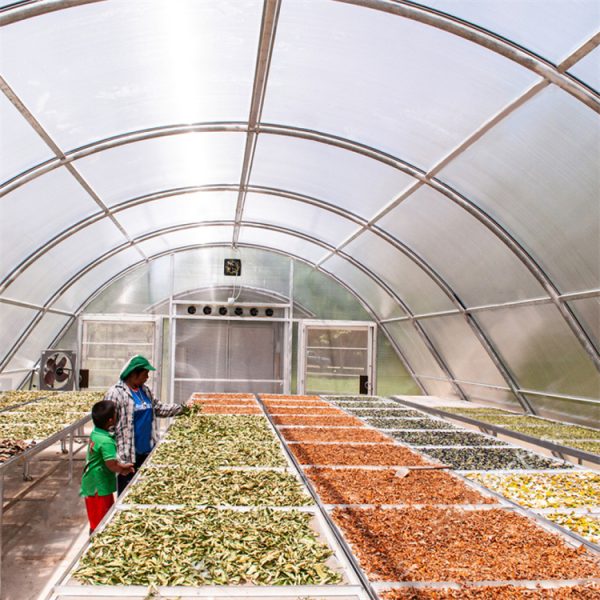 TIANJIN COMWEL Solar Dryer Greenhouse - Image 2