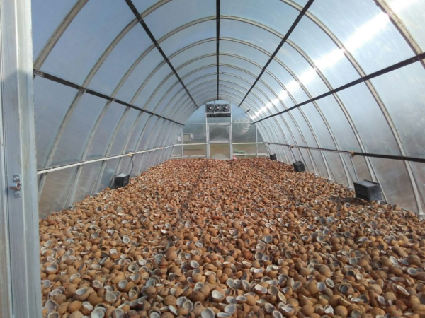 ACME Solar Dryer Greenhouse - Image 5