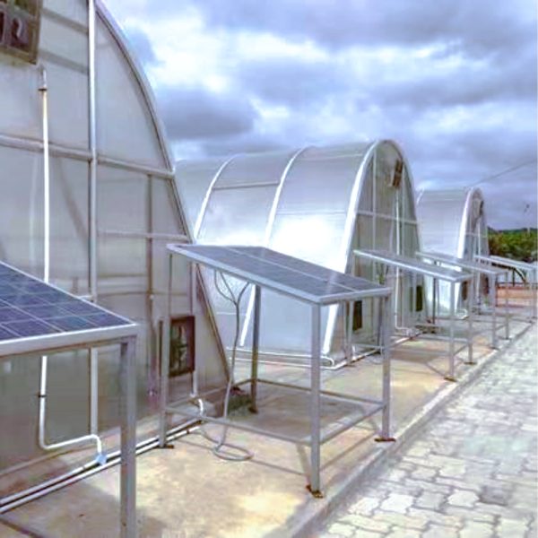ACME Solar Dryer Greenhouse - Image 2